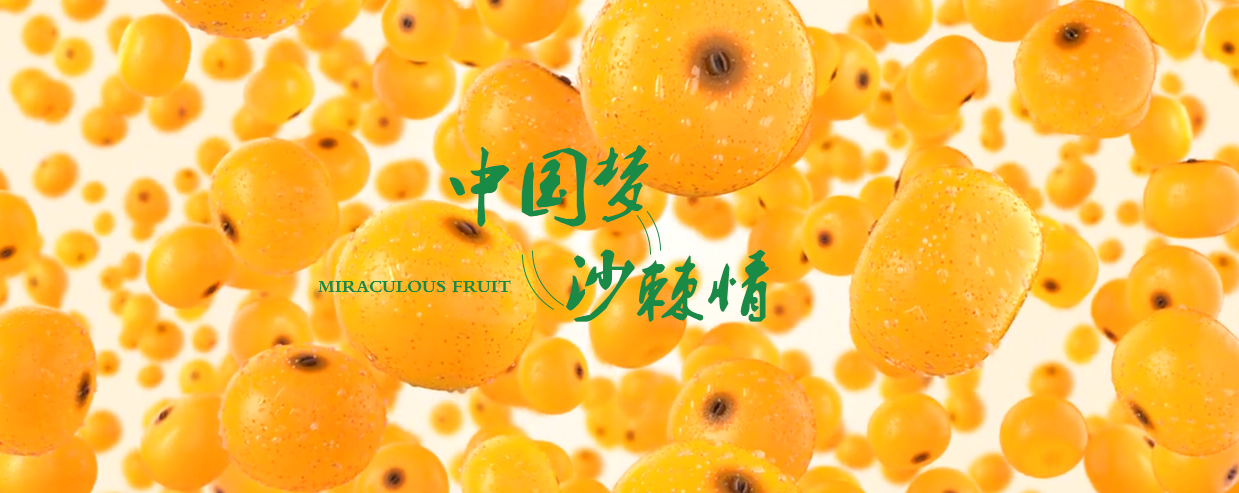 簡(jiǎn)介
